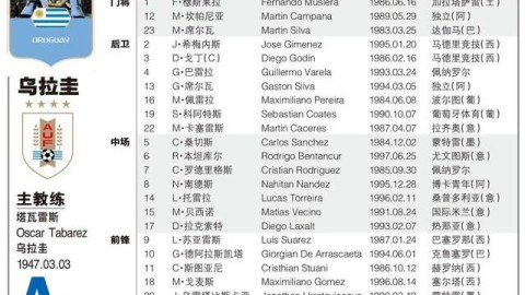 2026世界杯48强阵容深度解析：四年等待，你的主队准备好了吗？